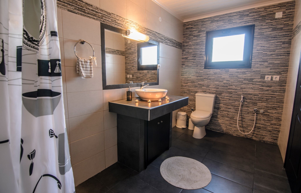 toilet1